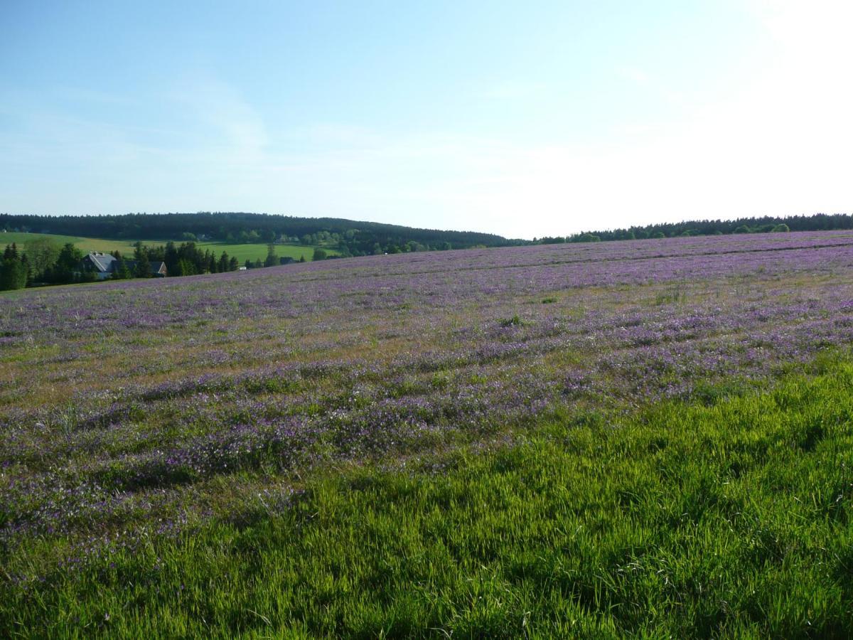 Gasthaus Ruebenau Rubenau エクステリア 写真